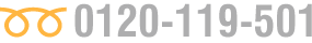 フリーダイヤル　0120-119-501